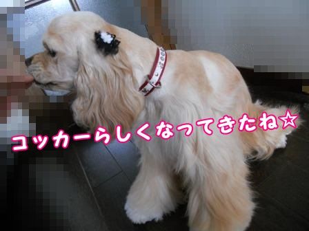 DSCN0032