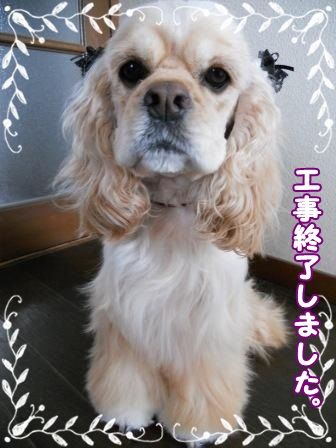 DSCN0019