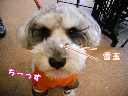 DSCN0033