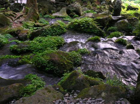 c5c11f60.jpg