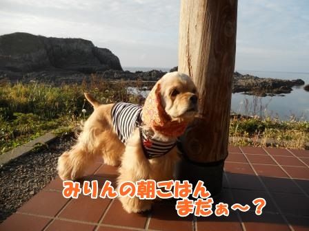 DSCN9722