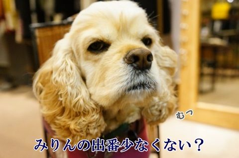 DSC04035