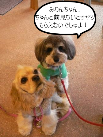 BlogPaint