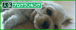 ワン♪