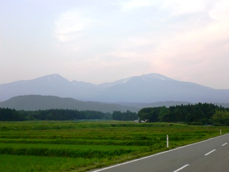 ed434b91.jpg