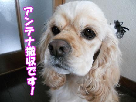 DSCN0023
