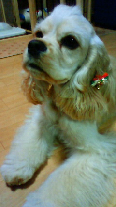 200912282108000.jpg