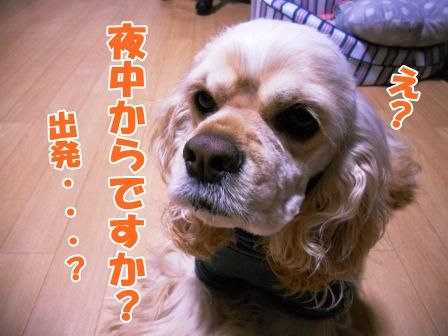 DSCN9983