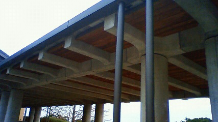 nec_0005.jpg