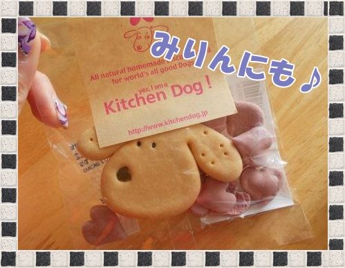 DSCN9558