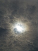 12f483e0.jpg