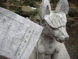 1306973d.jpg
