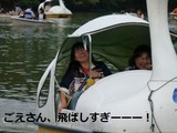 5745a36d.jpg