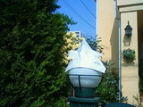 6c99f290.jpg