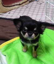 201001041915000