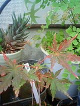 c37965f0.jpg