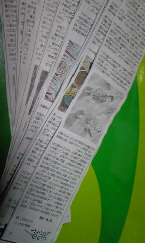 c64e17d5.jpg