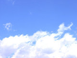 f8708843.jpg