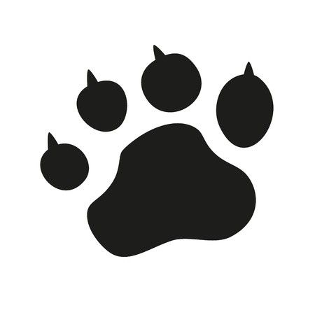 1555479677783