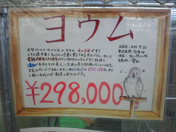 1455171256040