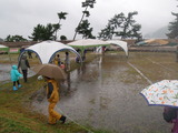 集合~! って、畦道か!