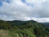 先は長い・・・・・