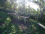 ありがたや・・・・・