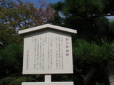 知らなかった!