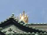 尻尾!
