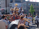 神輿!