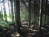 ガクガク・・・・・