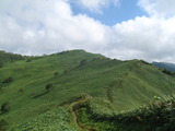 尾根沿いを行く