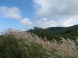 確実に