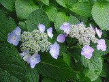 2日目、雨・・・・・