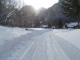 綺麗に除雪してあります。