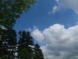 夏の空?