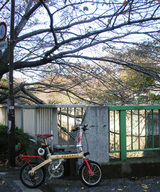 c061114-3