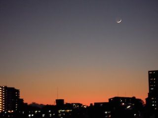DSCN1102