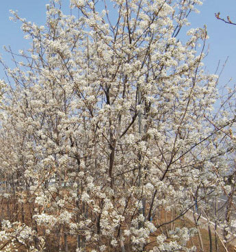 img57549236