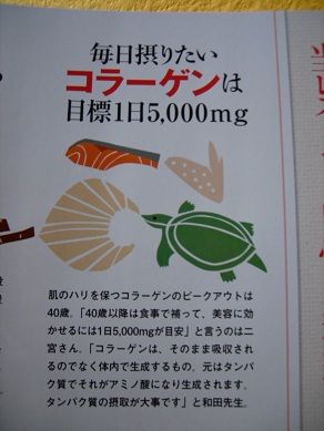 コラーゲンの摂取量