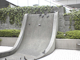 鳩1