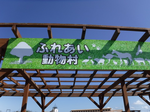 DSCF9026