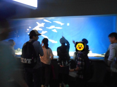 DSCN1128