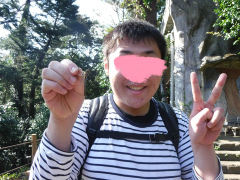 BlogPaint