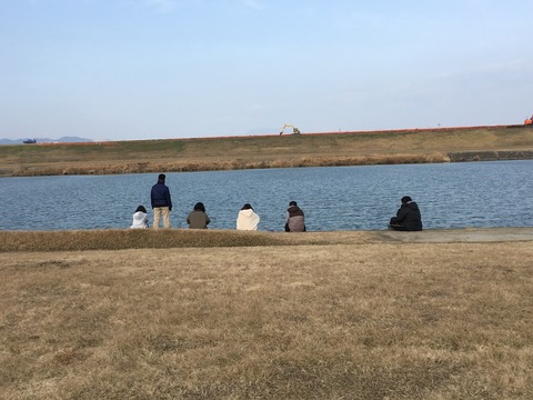 カモは何匹?