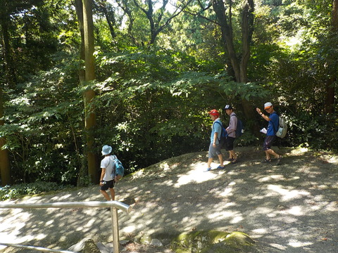 DSCN6005