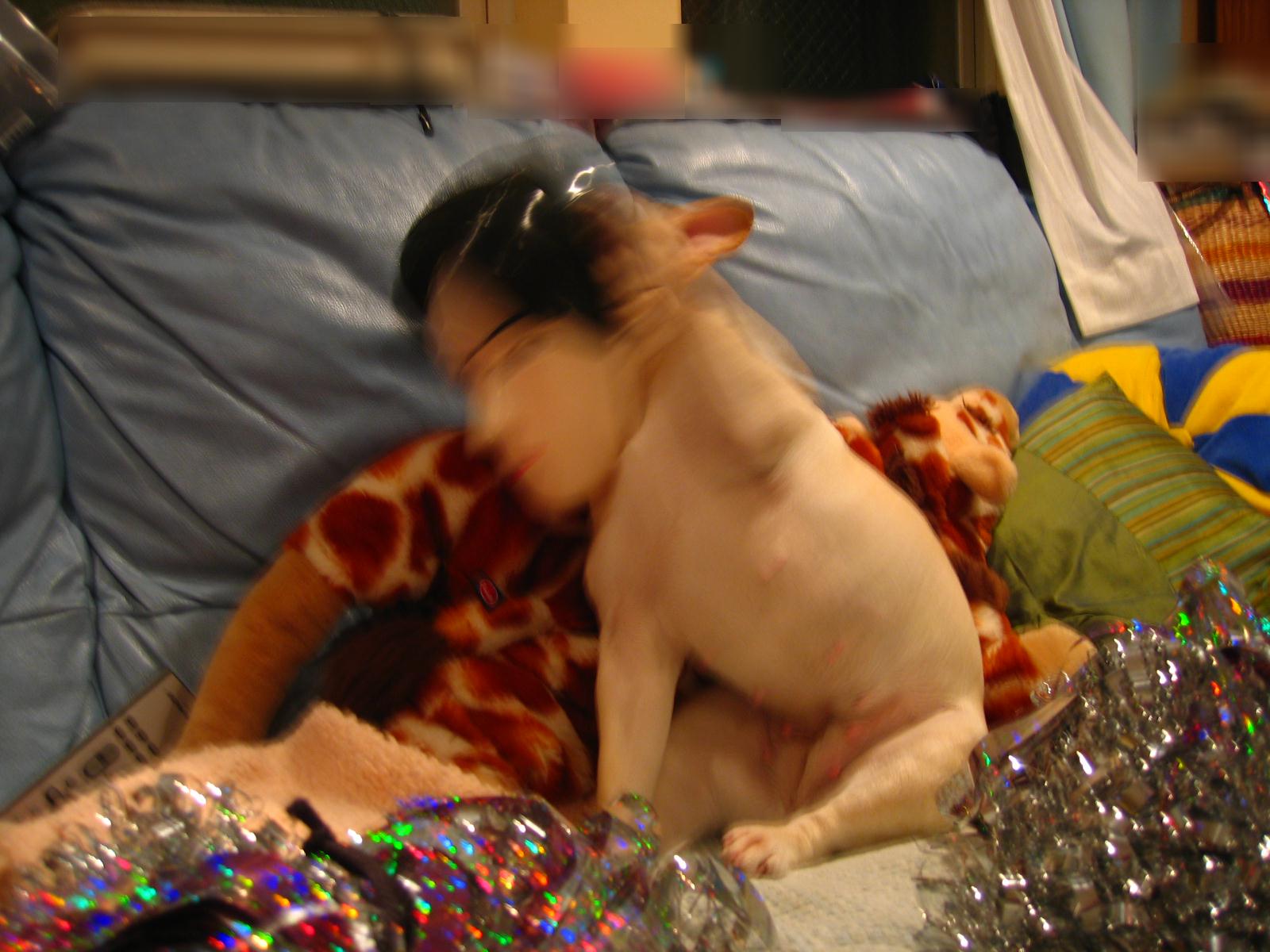 いや〜!まいった!まいった!