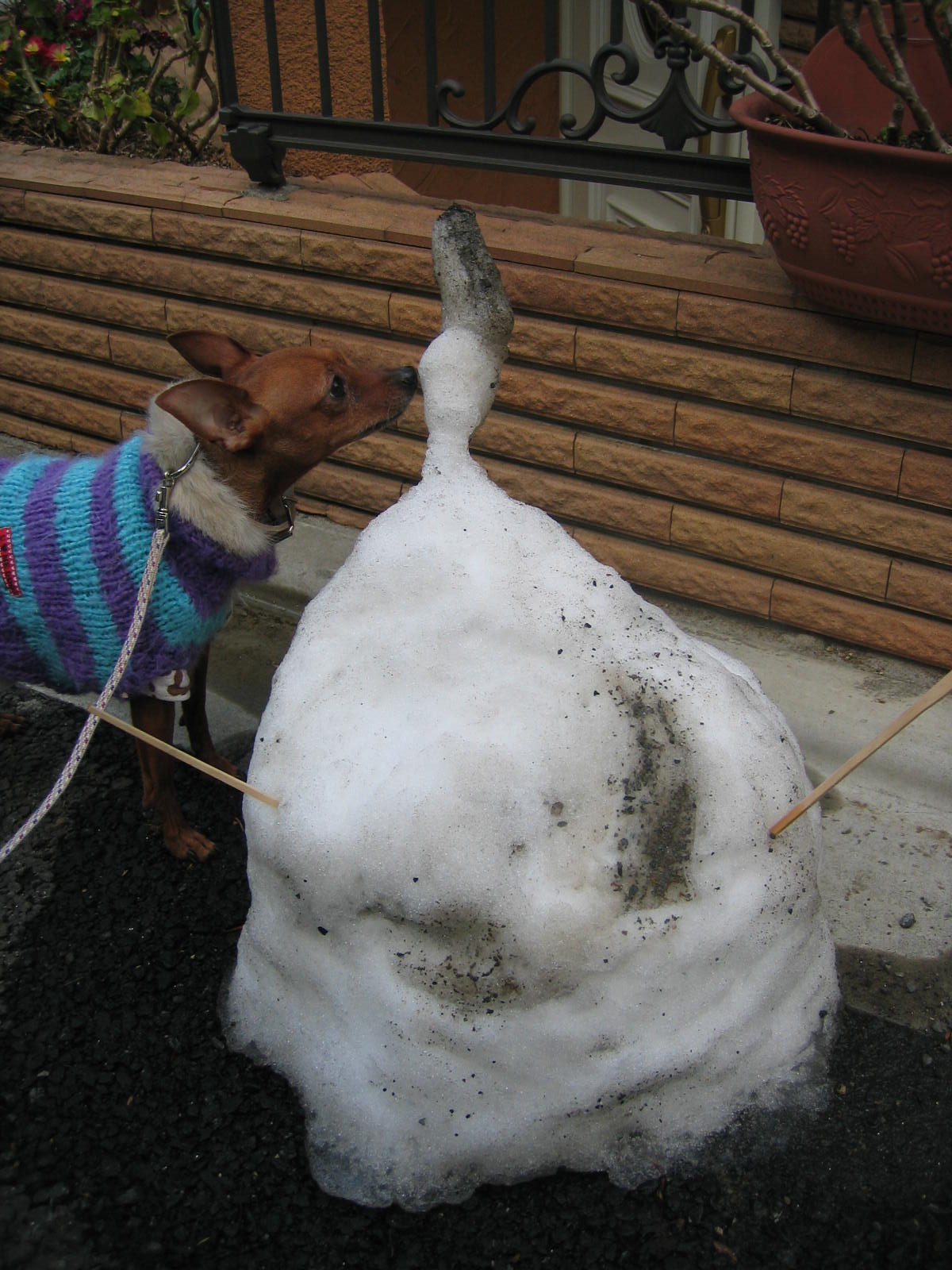 頑張れ!雪ちゃん!