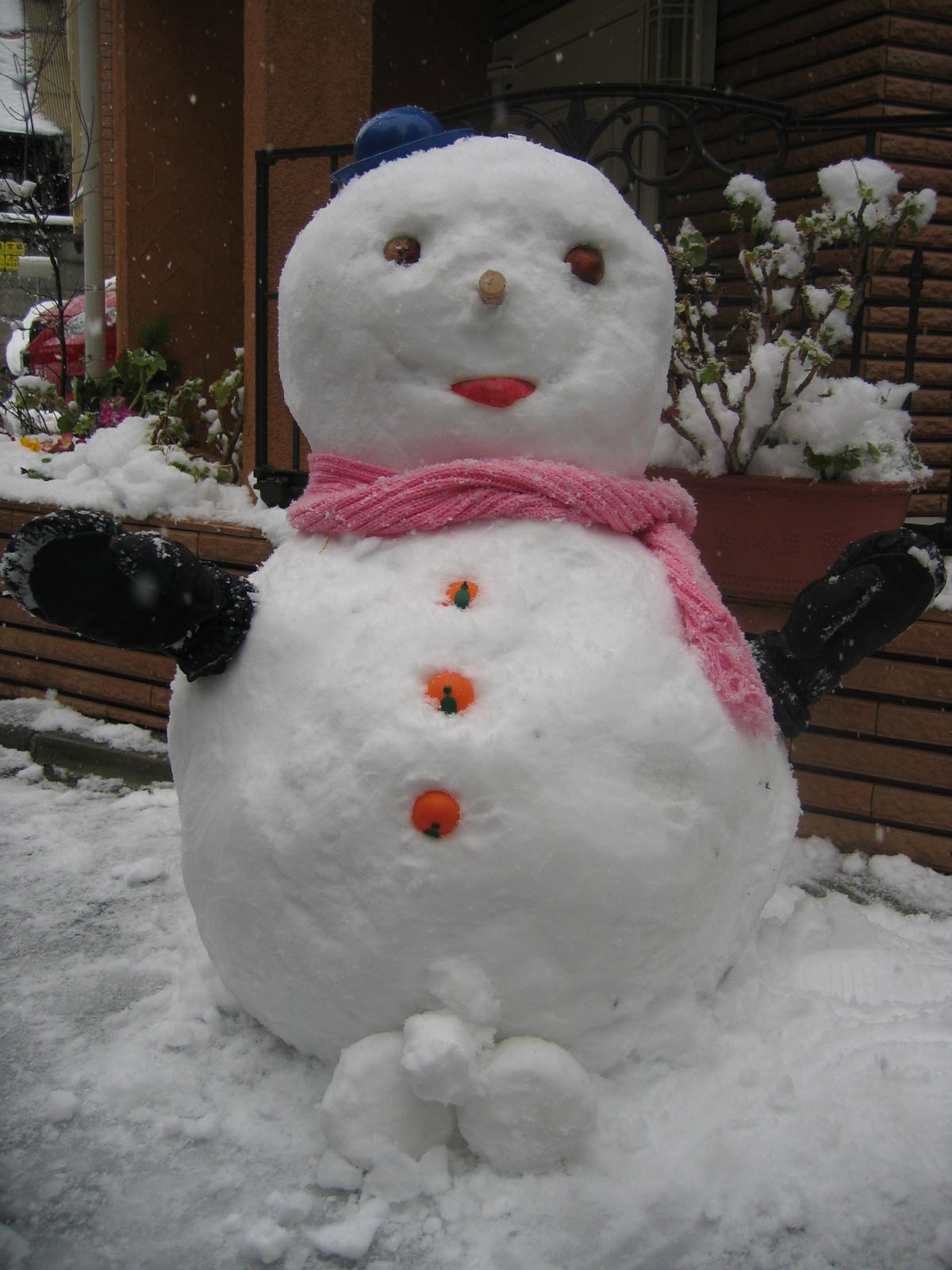 雪男くん。26才。独身。