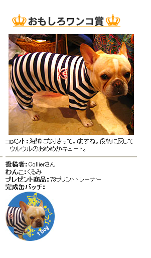 くるみだぁ〜!